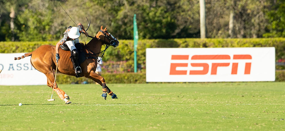 HOW TO WATCH THE THRILLING GAME OF POLO!