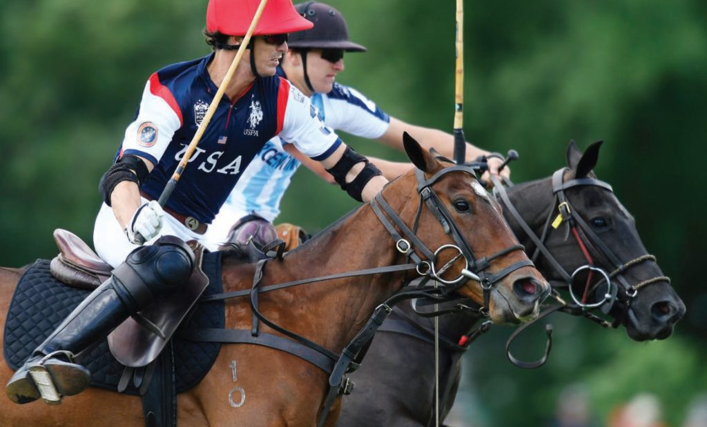 NEED-TO-KNOW POLO TERMS