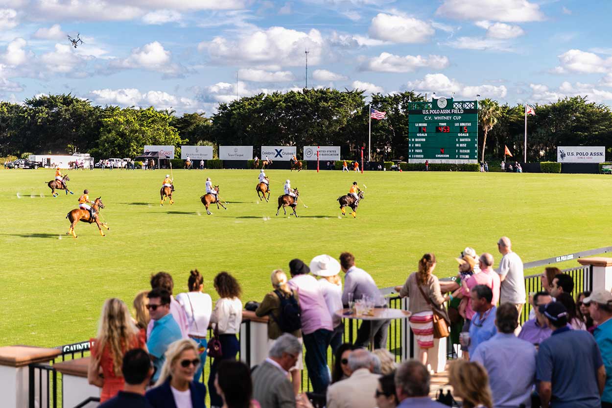polofacts