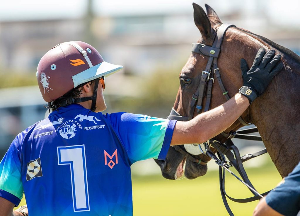 Polo and the Connection between the Horse and Player