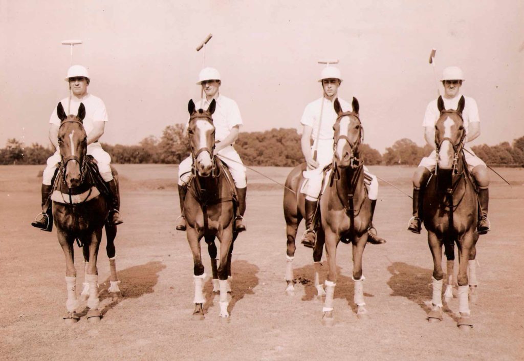 Global POPULARITY of Polo
