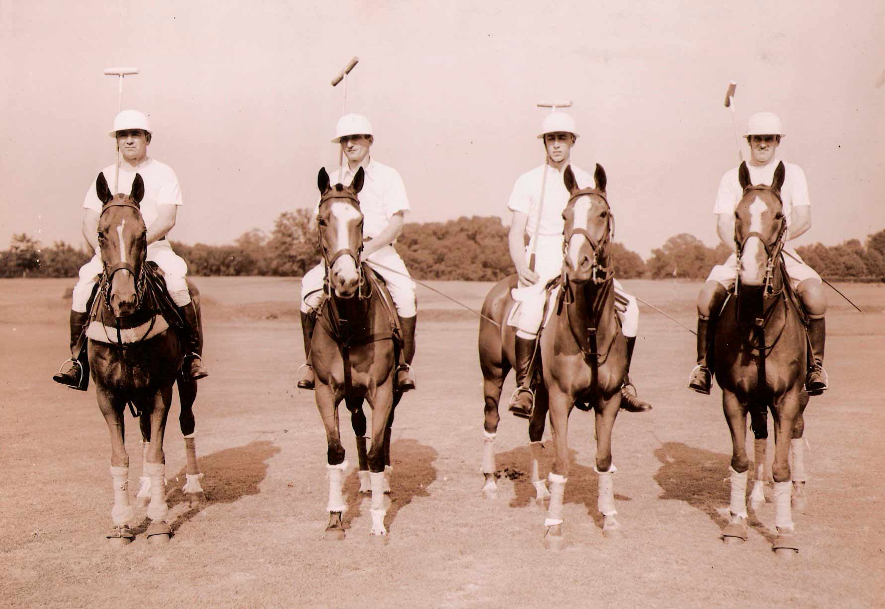 ridershorses