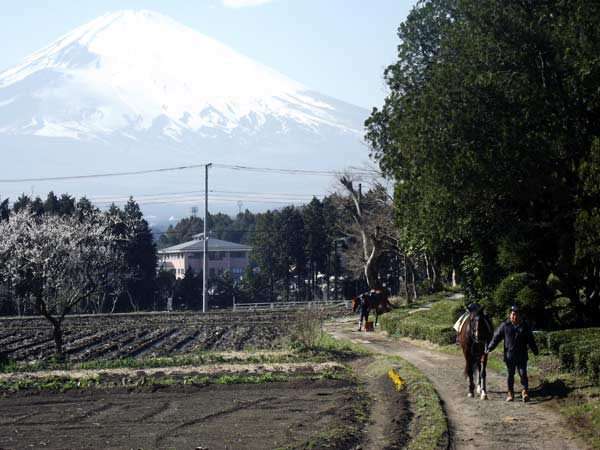 Okamoto Riding Club